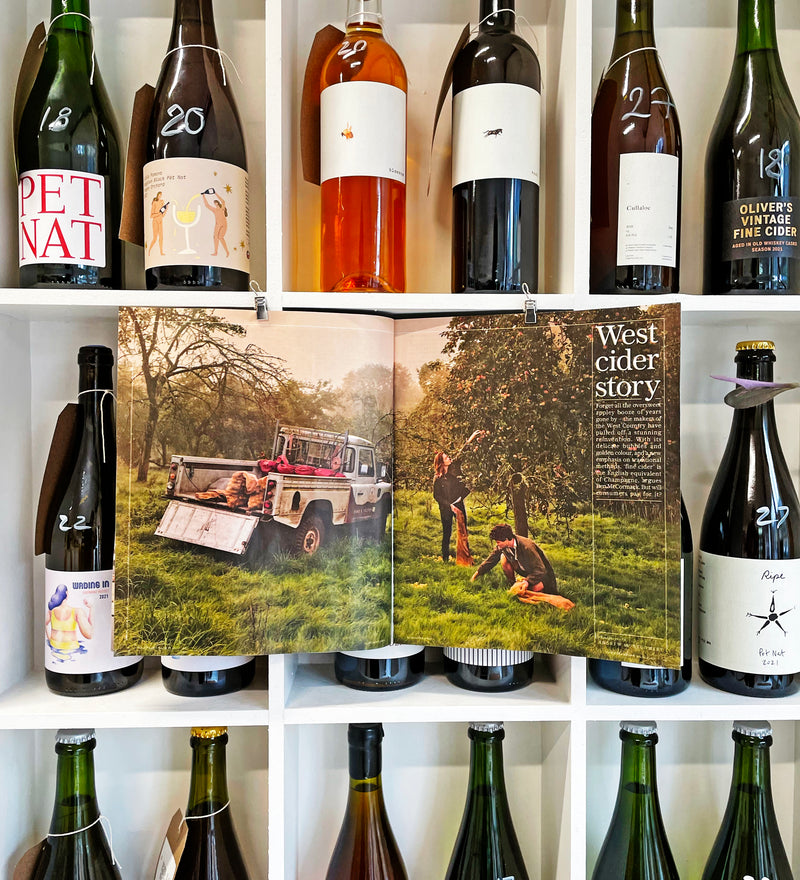 Fine Cider in the Telegraph Magazine