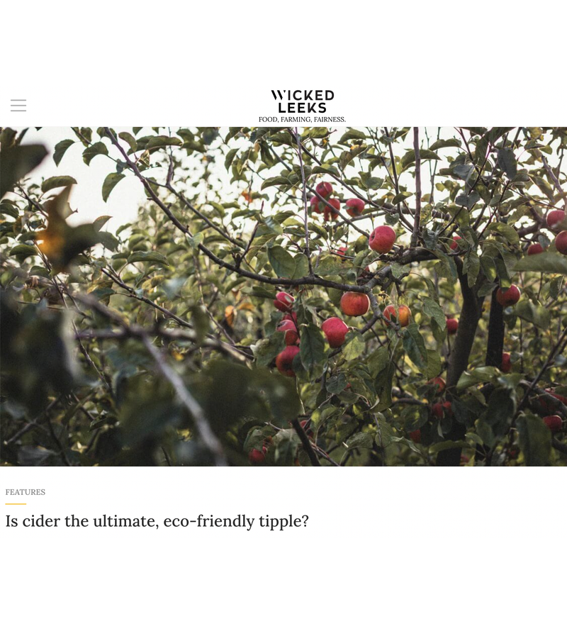 Is cider the ultimate, eco-friendly tipple?