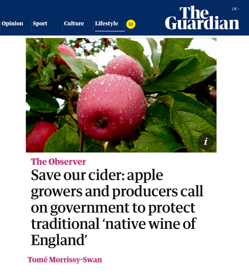 Fine Cider in the The Observer.