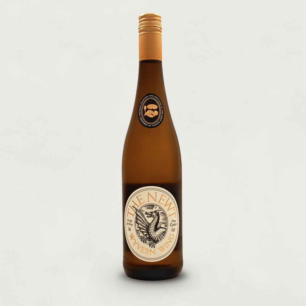Wyvern Wing Cider 2024