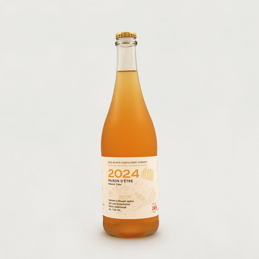 Raison d'Être 2024