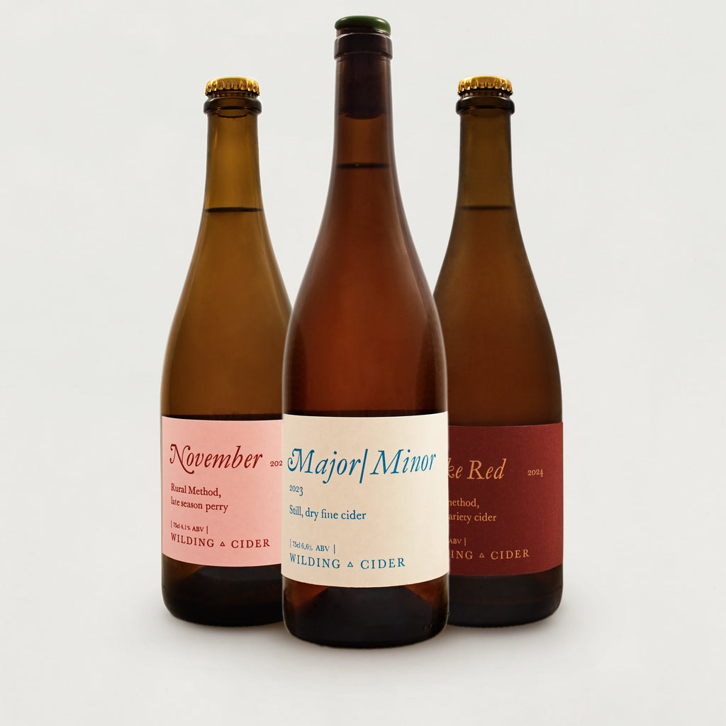 Latest Releases