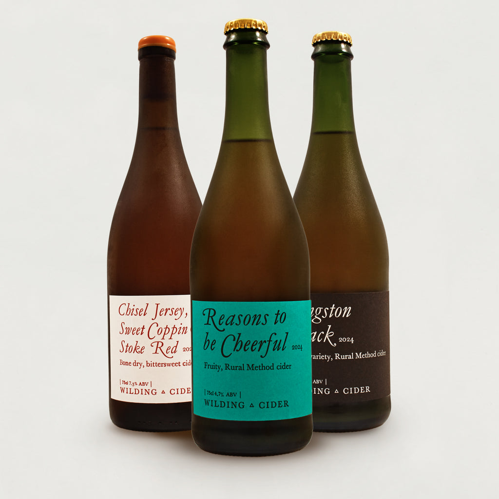 Selection of Latest Releases