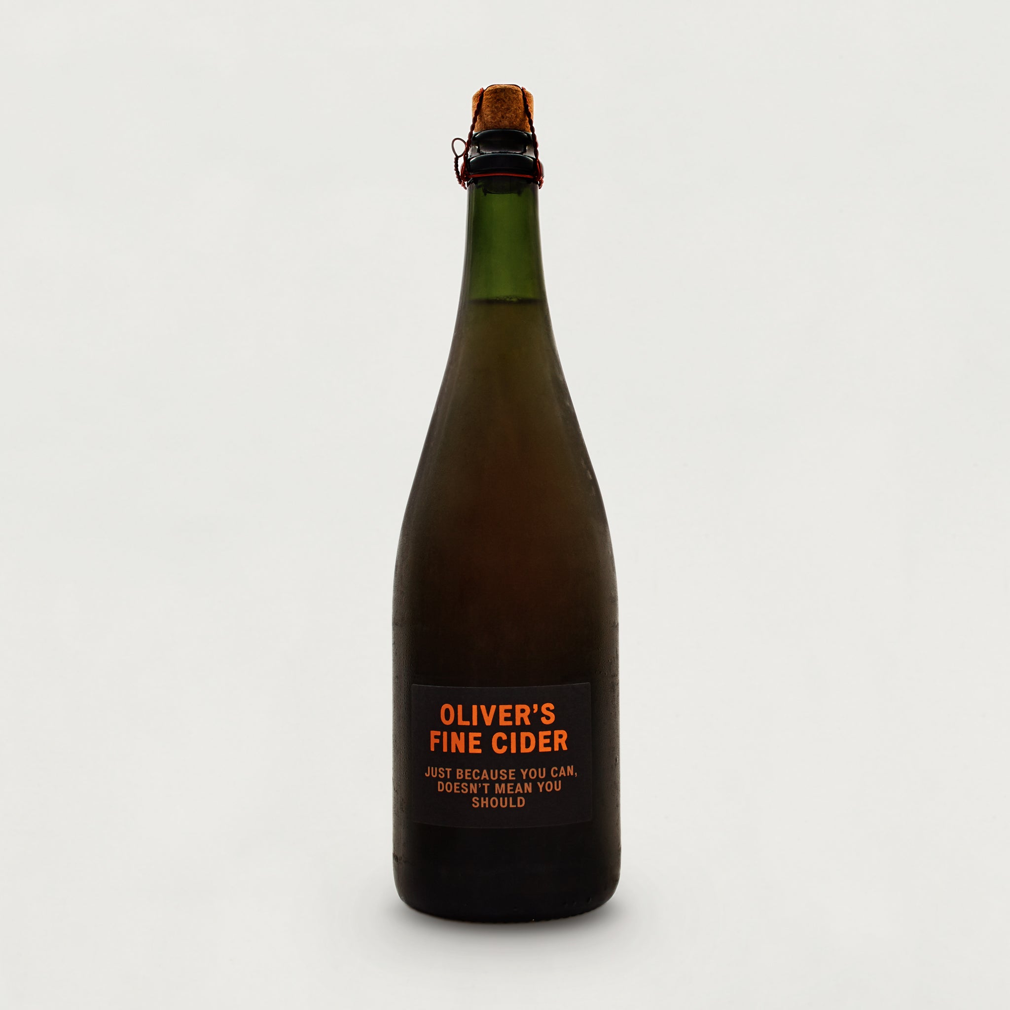 Just Because You Can Doesn’t Mean You Should Cider 2021
