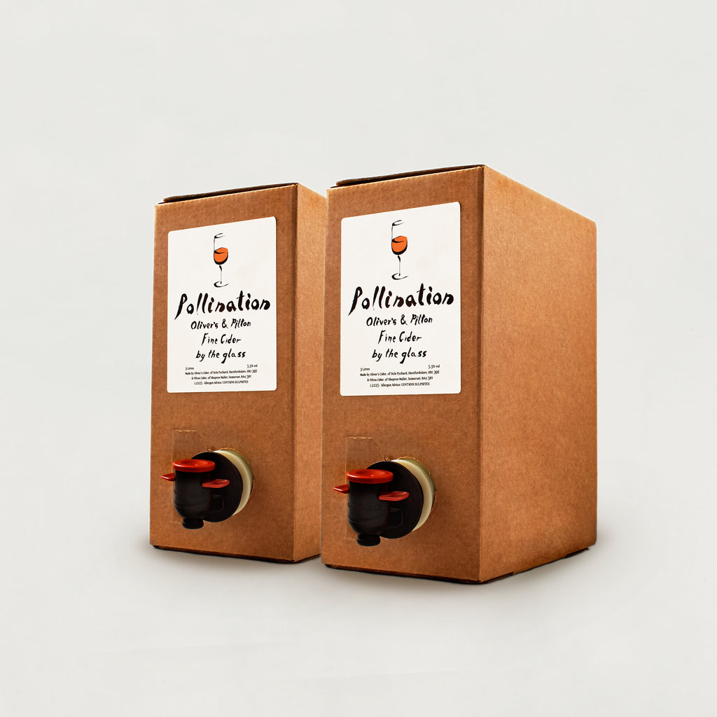 Oliver's & Pilton - Pollination 2021 (Cider in a box)